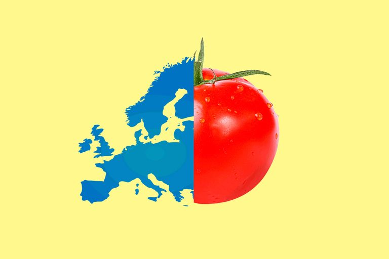 Факт: европейците се страхуваха да ядат домати, когато те бяха