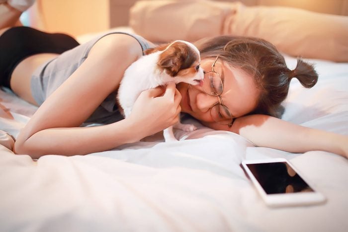 adorable puppy licks a woman's face on a bed