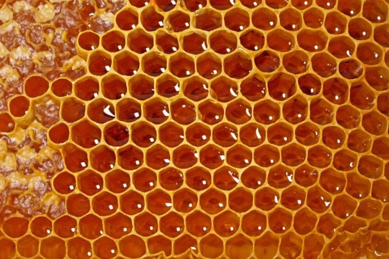 Honeycomb filled with honey isolated on white