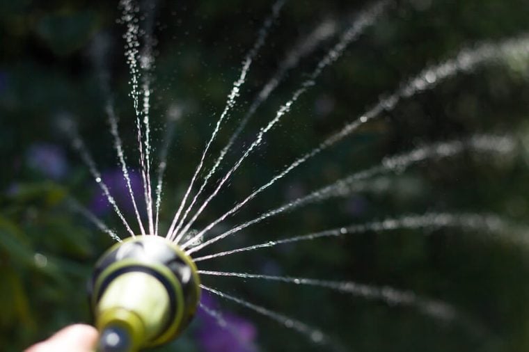 Splashing water forming a mist against a green background.Water jets leaving the tip from the garden hose.Watering the plants with a garden hose with a tip. Water jets fly out of the tip.