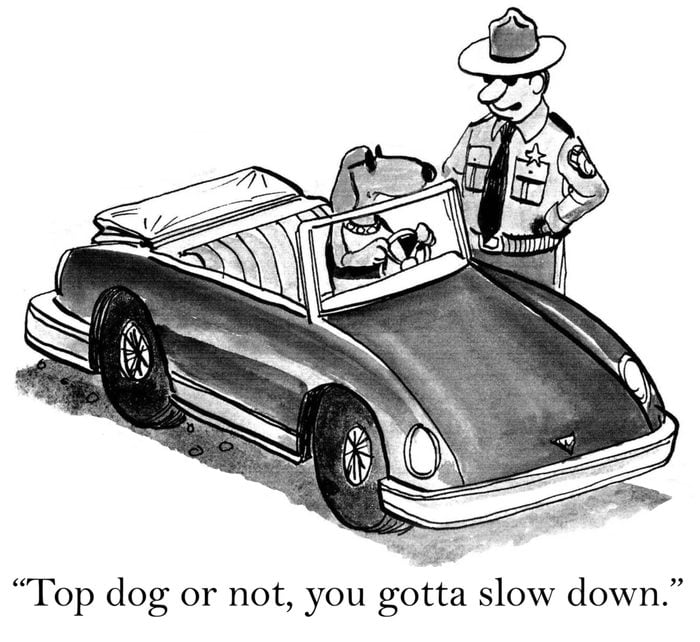 "Top dog or not, you gotta slow down."