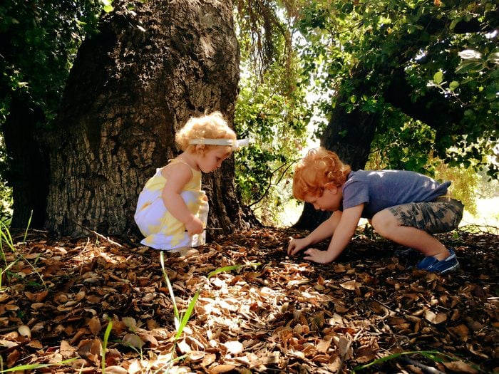 kids playing leaves