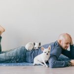 Adult bald man in fashionable clothing lying on yoga mat. Young guy reading book. Two white male chihuahua puppies at home. Pet sleeping with owner. Little lovely furry dog sitting on wooden floor