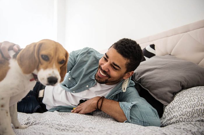 Handsome man playing with his dog in the bed.