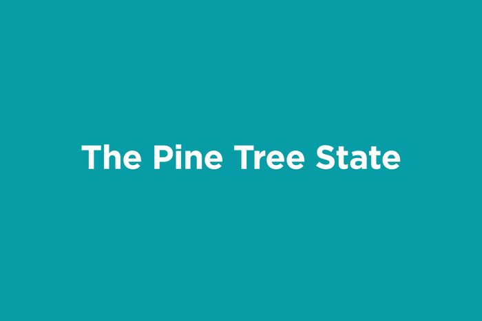 the pine tree state