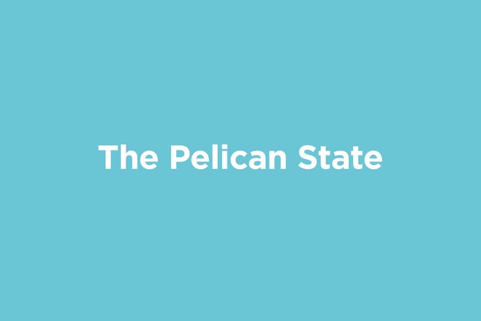the pelican state