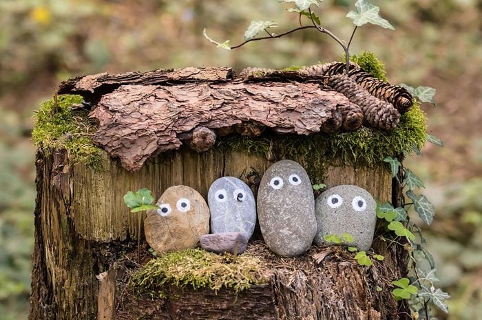 Four painted pebbles with eyes placed on a stump.