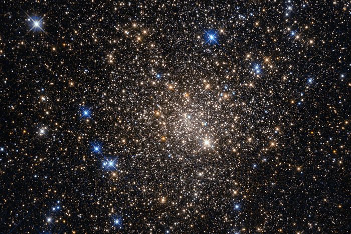 This image, taken with the Wide Field Planetary Camera 2 on board the NASA/ESA Hubble Space Telescope, shows the globular cluster Terzan 1. Lying around 20,000 light-years from us in the constellation of Scorpius (The Scorpion), it is one of about 150 globular clusters belonging to our galaxy, the Milky Way. Typical globular clusters are collections of around a hundred thousand stars, held together by their mutual gravitational attraction in a spherical shape a few hundred light-years across. It is thought that every galaxy has a population of globular clusters. Some, like the Milky Way, have a few hundred, while giant elliptical galaxies can have several thousand. They contain some of the oldest stars in a galaxy, hence the reddish colors of the stars in this image — the bright blue ones are foreground stars, not part of the cluster. The ages of the stars in the globular cluster tell us that they were formed during the early stages of galaxy formation! Studying them can also help us to understand how galaxies formed. Terzan 1, like many globular clusters, is a source of X-rays. It is likely that these X-rays come from binary star systems that contain a dense neutron star and a normal star. The neutron star drags material from the companion star, causing a burst of X-ray emission. The system then enters a quiescent phase in which the neutron star cools, giving off X-ray emission with different characteristics, before enough material from the companion builds up to trigger another outburst.