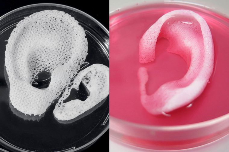 Here's How 3-D Printers Are Making Human Body Parts - April 01 WK Who Knew 3DPrinters US180473 Courtesy Wake Forest Institute For Regenerative MeDicine 2 760x506