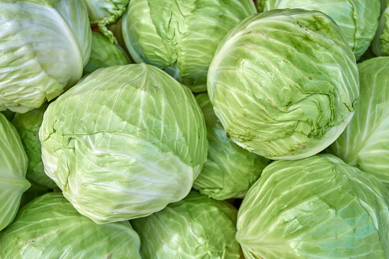 cabbage from field. cabbage background