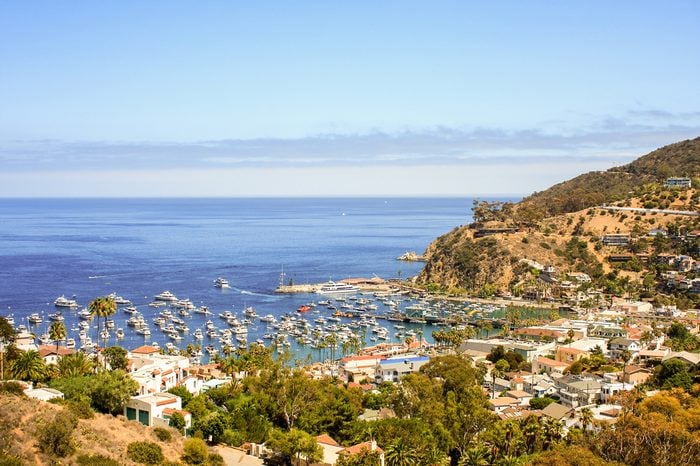 A view of boats and yachts at the port of Catalina Island