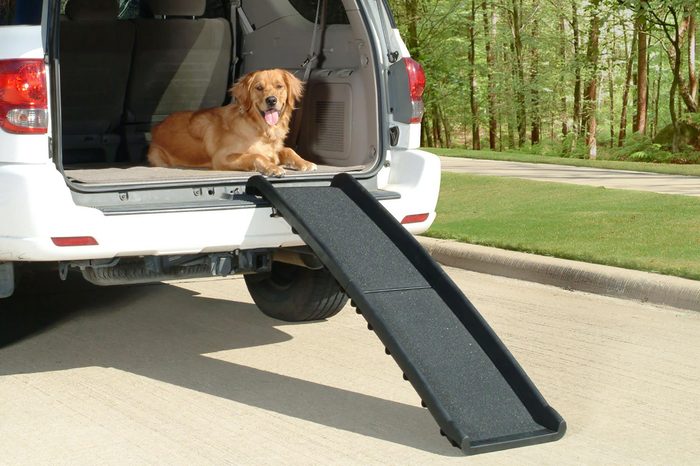PetSafe Solvit UltraLite Bi-Fold Pet Ramp, 62 in., Portable Lightweight Dog and Cat Ramp, Great for Cars, Trucks and SUVs