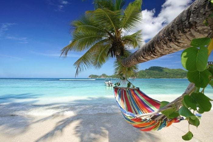 mahe Island, seychelles - Romantic cozy hammock in the shadow of the palm on the tropical beach by the sea