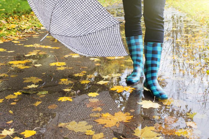 Rubber boots with umbrella in the background of the puddles and yellow leaves