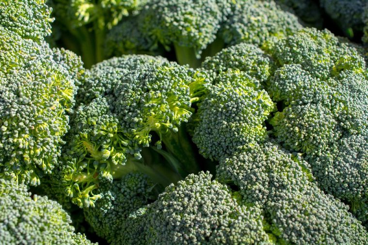 Crisp broccoli close-up shot, selective focus, for sale at a farmers market, light green predominant color
