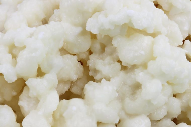 Macro of Kefir grains. Kefir is one of the top health foods available providing powerful probiotics. It is cultures of yeast and bacteria use to make a fermented milk product.