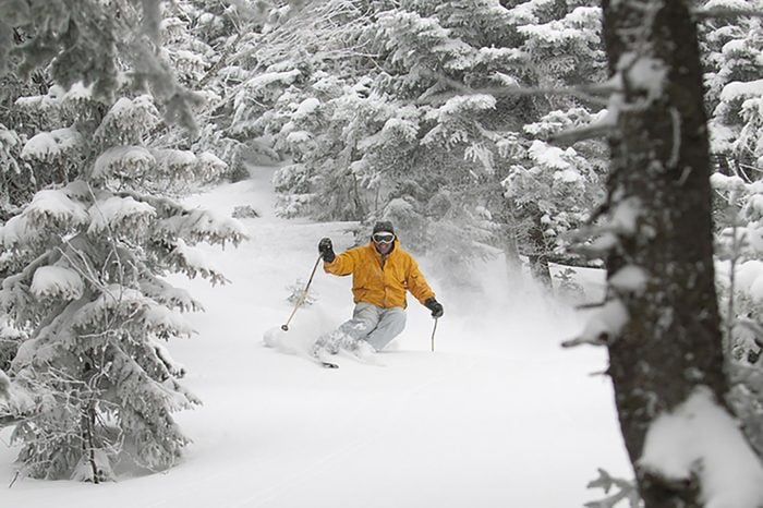 Expert skier skiing in deep powder snow in the trees, Mt. Mansfield, Stowe, Vermont, USA