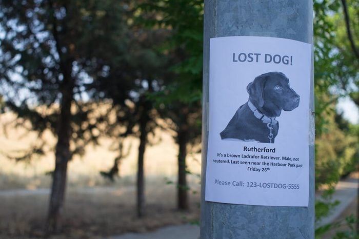 MIssing poster