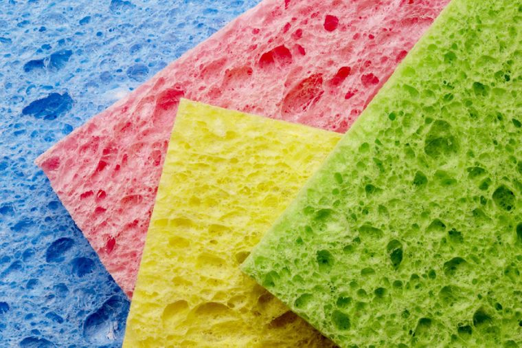 Macro shot of four colorful sponges