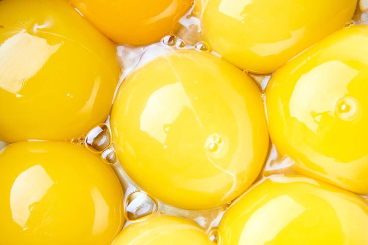 Many egg yolks close-up. Intense and bright yellow color. The main ingredient for the preparation of fried eggs, omelette, poached eggs. Fresh eco-friendly farm products