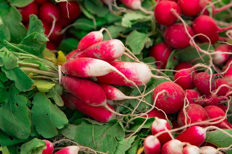 Fresh red white organic radishes with leaves fresh from the garden, for sale at local farmers market