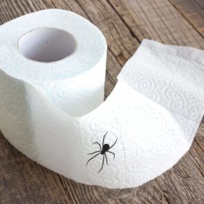 toilet paper spider best april fools pranks for parents
