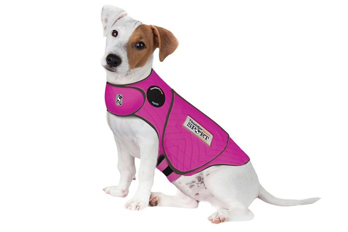 ThunderShirt Sport Dog Anxiety Jacket