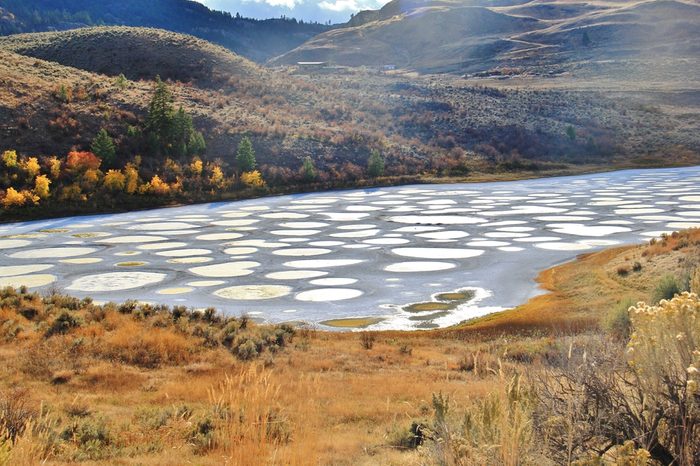 Spotted lake in Okanagan Vallye, Osoyoos, British Columbia. It contains dense deposits of magnesium sulfate, calcium and sodium sulfates. Spotted Lake was for centuries and remains revered as sacred