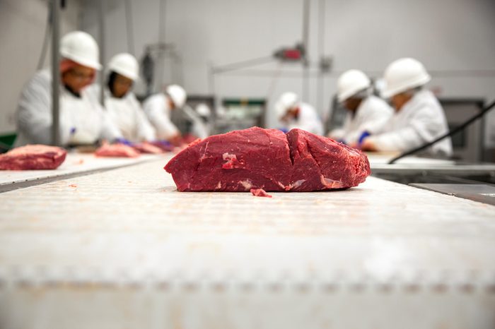 Large cut of raw meat from butcher processing packaging plant on a conveyor 