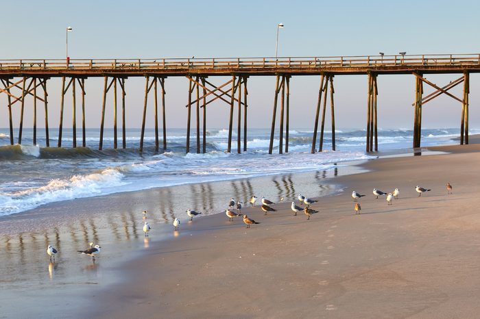 Sea gulls and fishing pier at Kure Beach, North Carolina