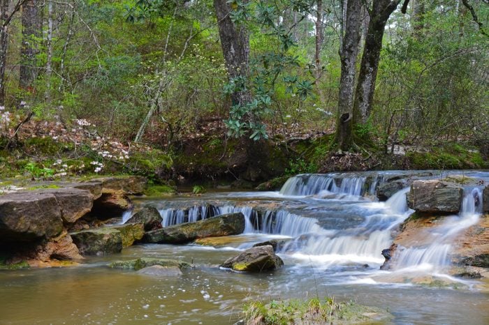 Kisatchie-Falls_Courtesy-Erich-Vallery,-United-States-Forest-Service