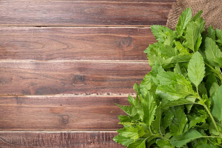 Holy basil leaves on wooden background, Copy space