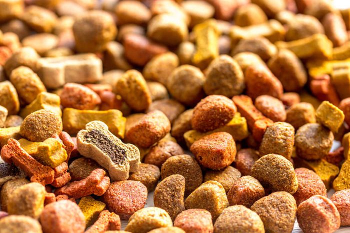 dry dog food in bulk close up