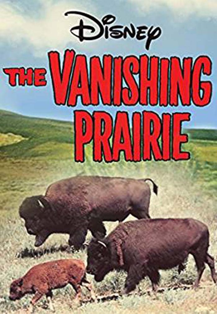 the vanishing prairie
