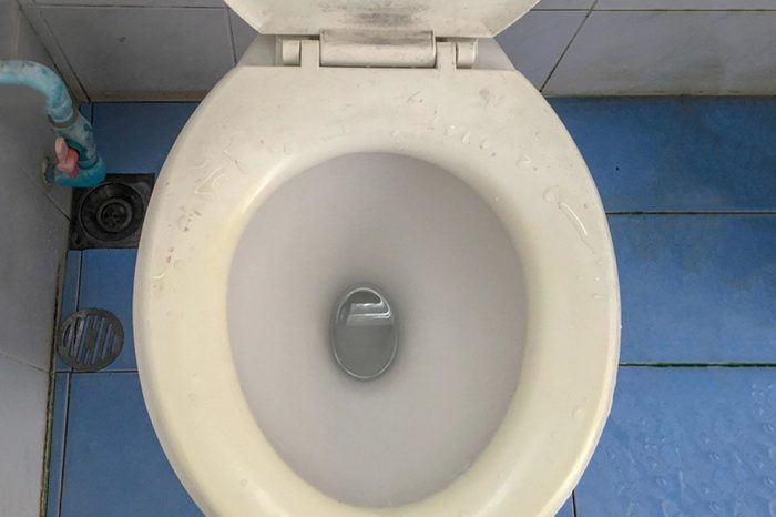 Fungus and bacteria in the bathroom, The Toilet bowl is very dirty, it needs to be cleaned.