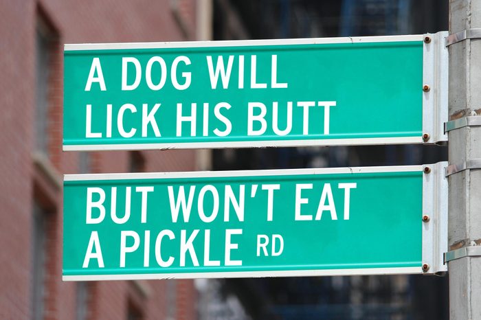 a dog will lick his butt but won't eat a pickle rd.