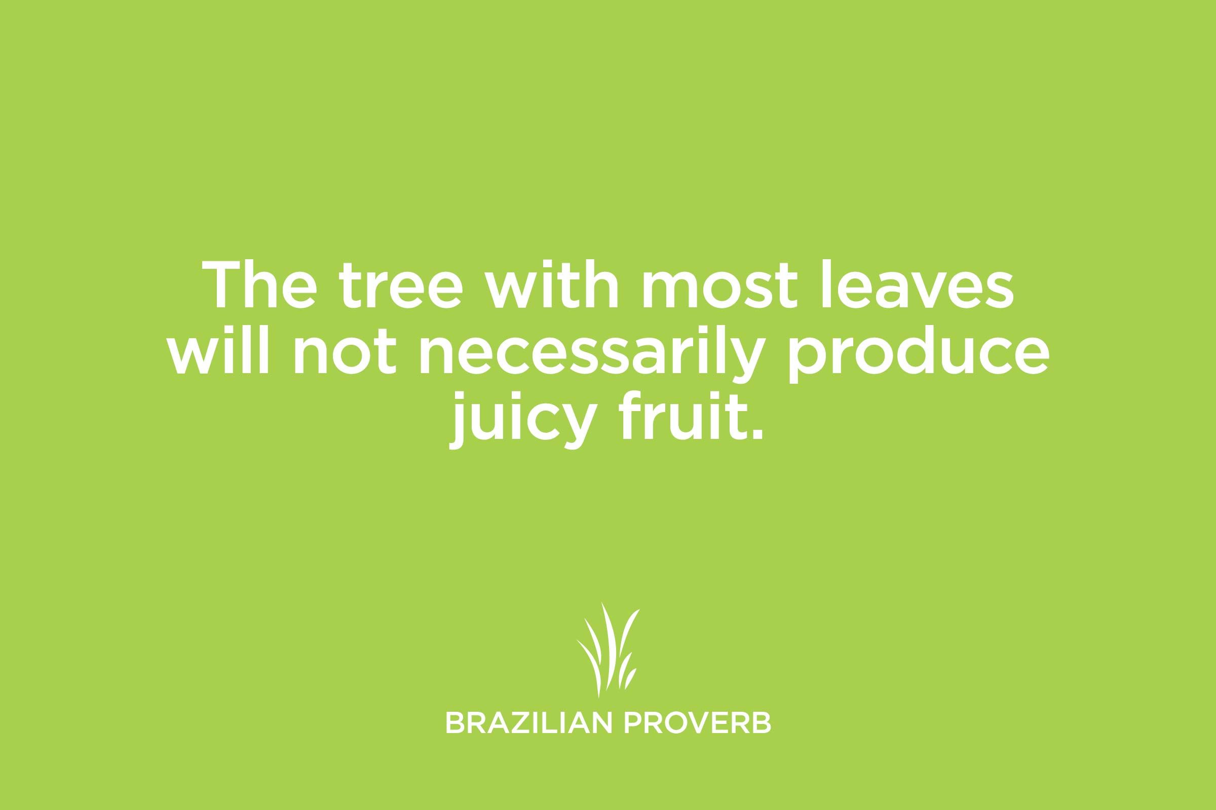 brazilian proverb