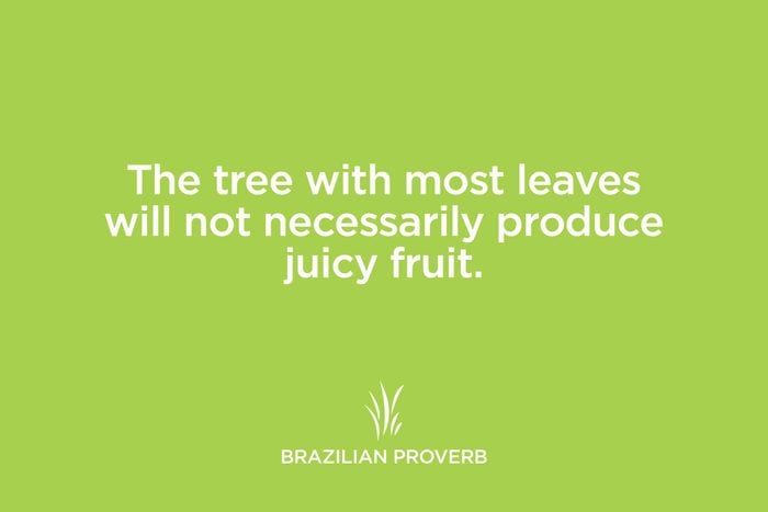 brazilian proverb