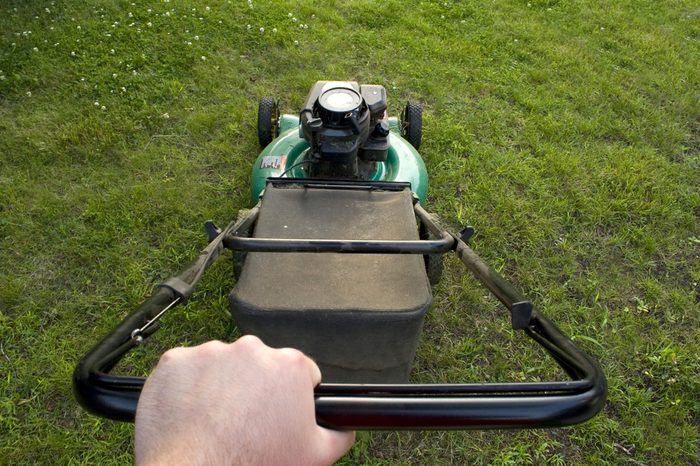 The interesting point of view from a man pushing a lawn mower.