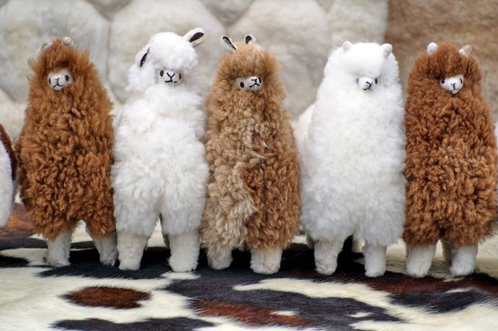 Stuffed fur llamas in the Otavalo Market