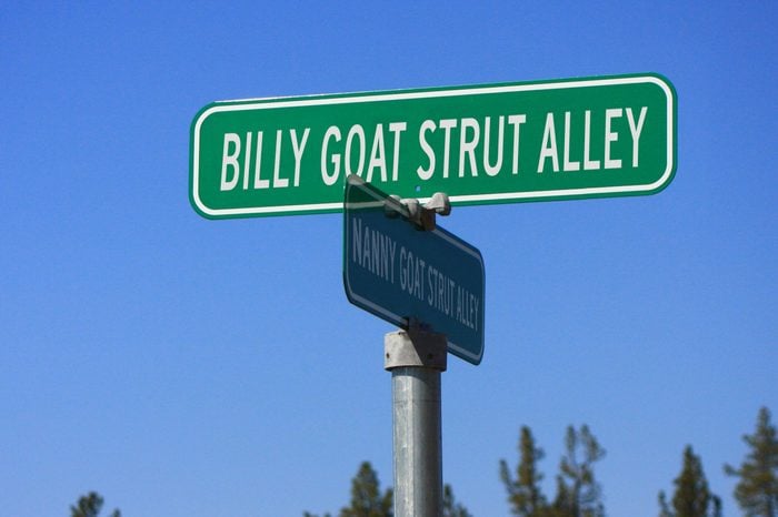Billy Goat Strut Alley