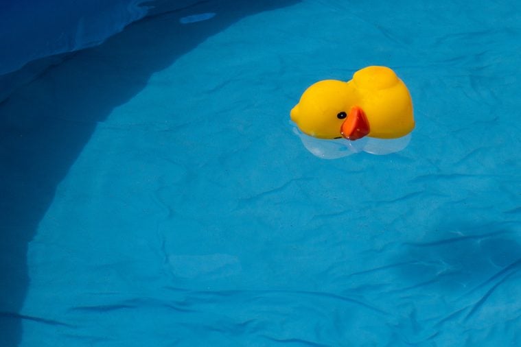 yellow duck floating in a swimming pool
