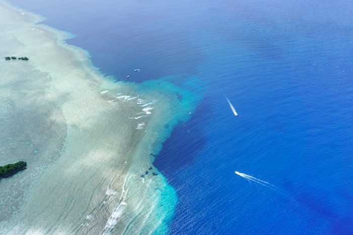 Blue Corner Palau, Best Diving/ Snorkelling, Diving with Sharks, Best of Pacific Islands, Blue Holes, Ngemelis, Pacific Ocean- Micronesia