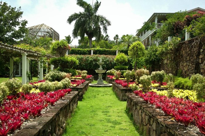 Botanical Gardens Nevis Via Tripadvisor.com