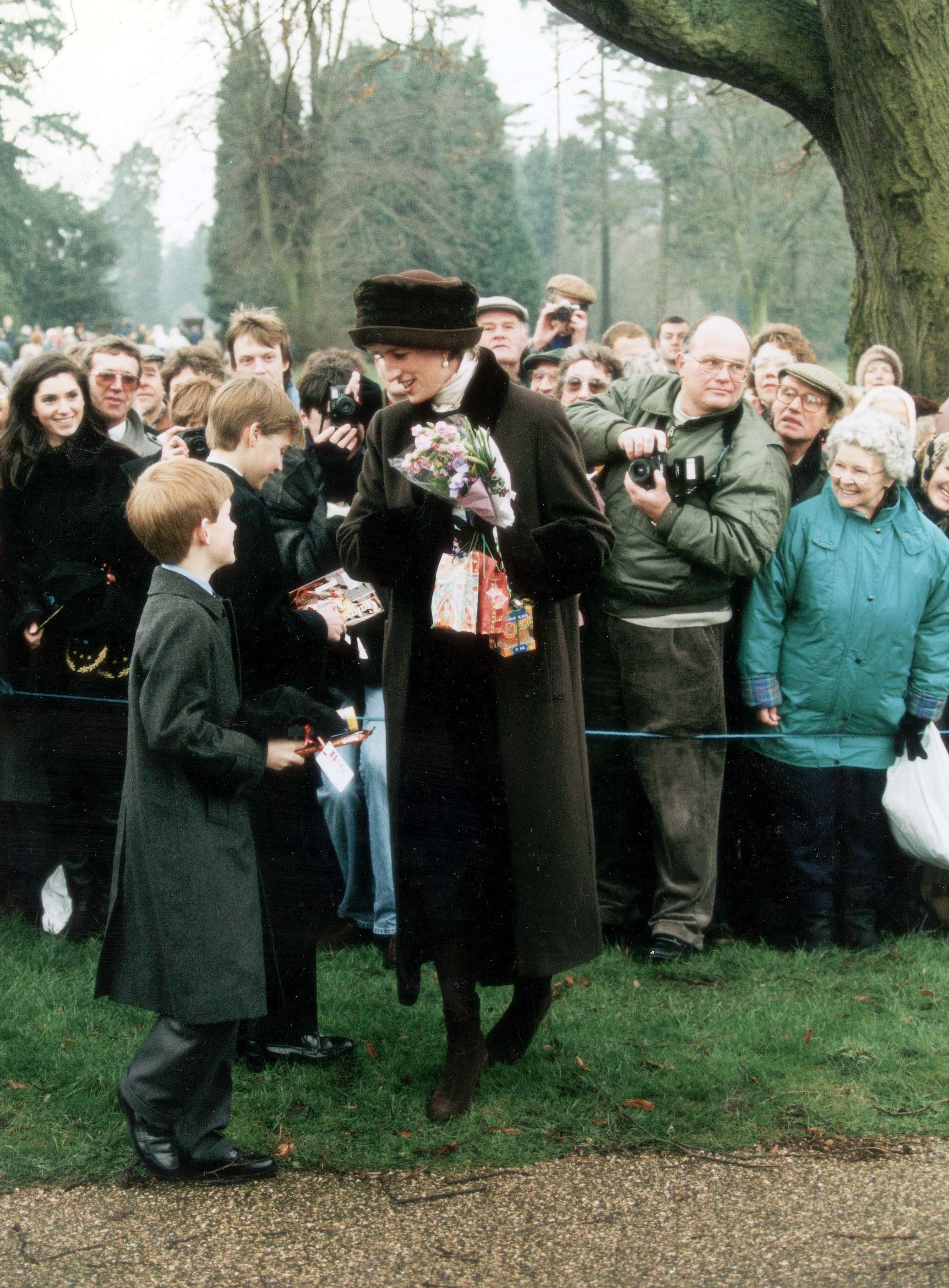 Diana Princess Of Wales - December 1994