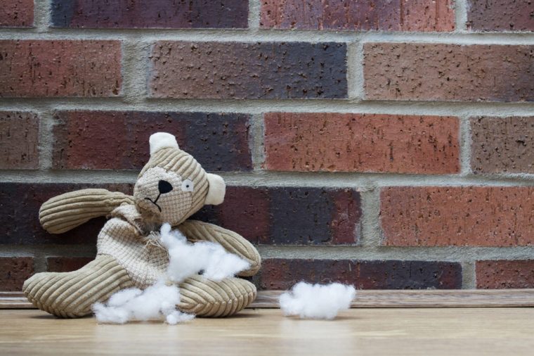 An old, abandoned and sad teddy bear with the stuffing falling from his ripped tummy and sitting on a cold, sparse wooden floor with a brick wall in the background.