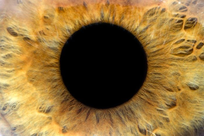 An extreme closeup of an eye.