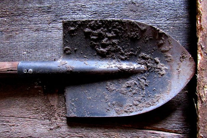 dirty shovel on a wooden surface