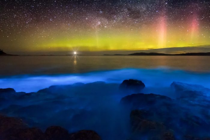 Aurora over bioluminescence