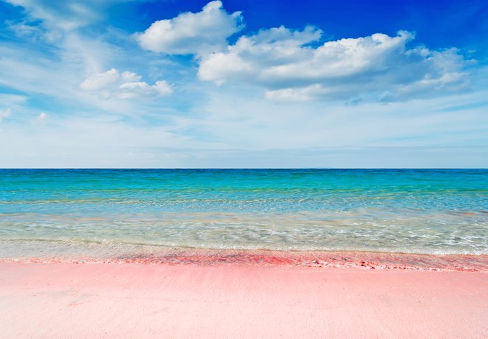 beautiful pink beach under a dramatic sky